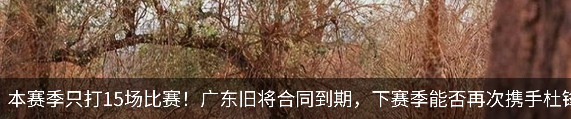行业资讯