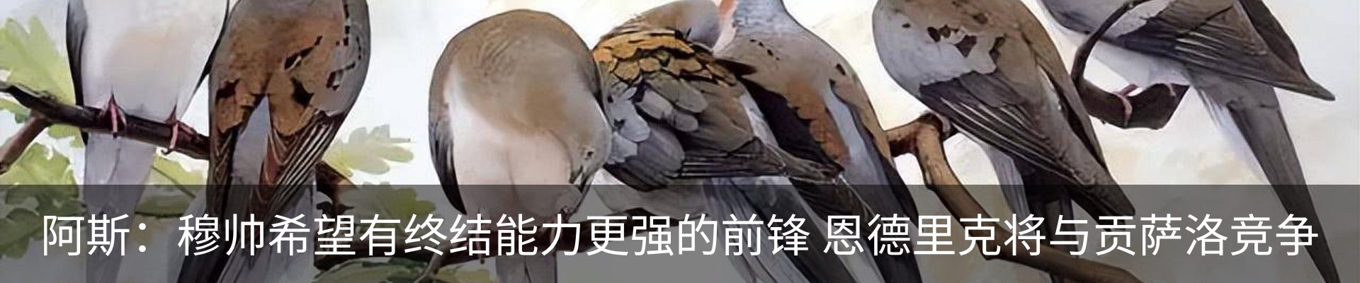 行业资讯